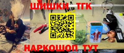 СК Новодвинск