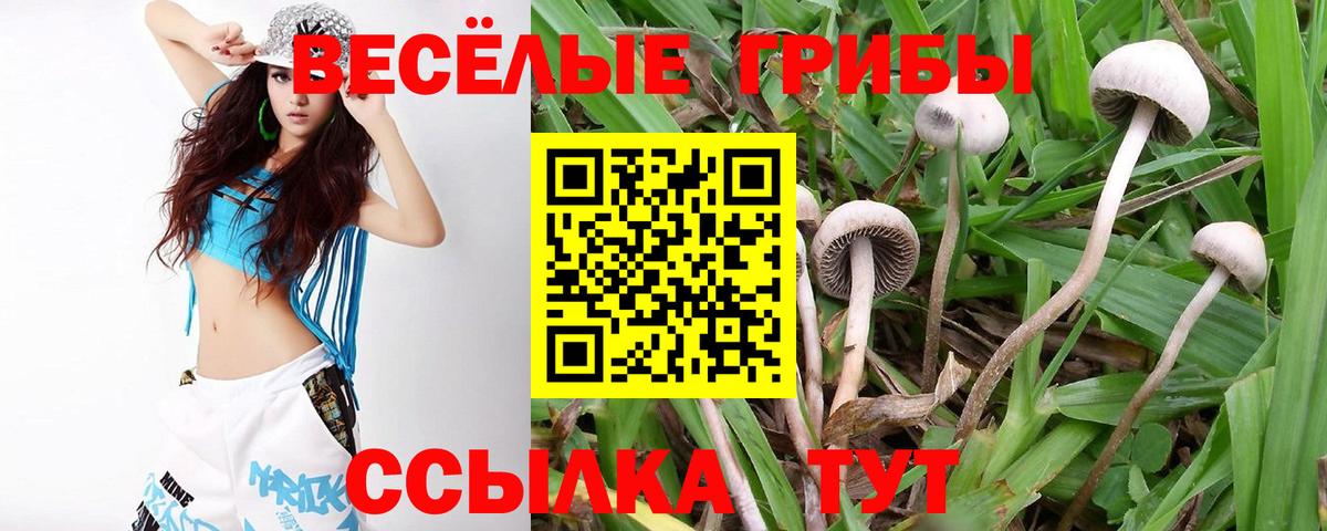 Трёхгорный  Псилоцибиновые грибы ЛСД  наркота  Вход с VPN 